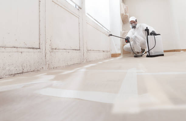 24/7 Emergency Basement Mold Removal experts in Glen Ellyn, IL